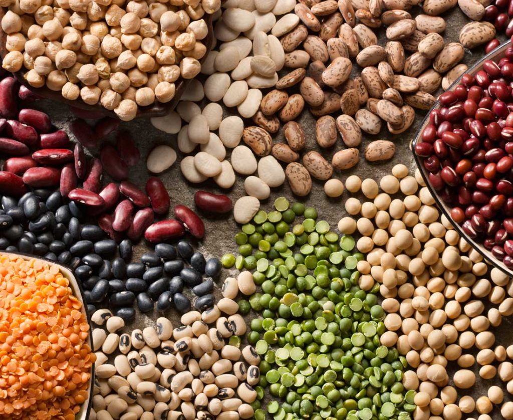 Pulses & Lentils